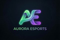 麻豆视频合作品牌极光电竞